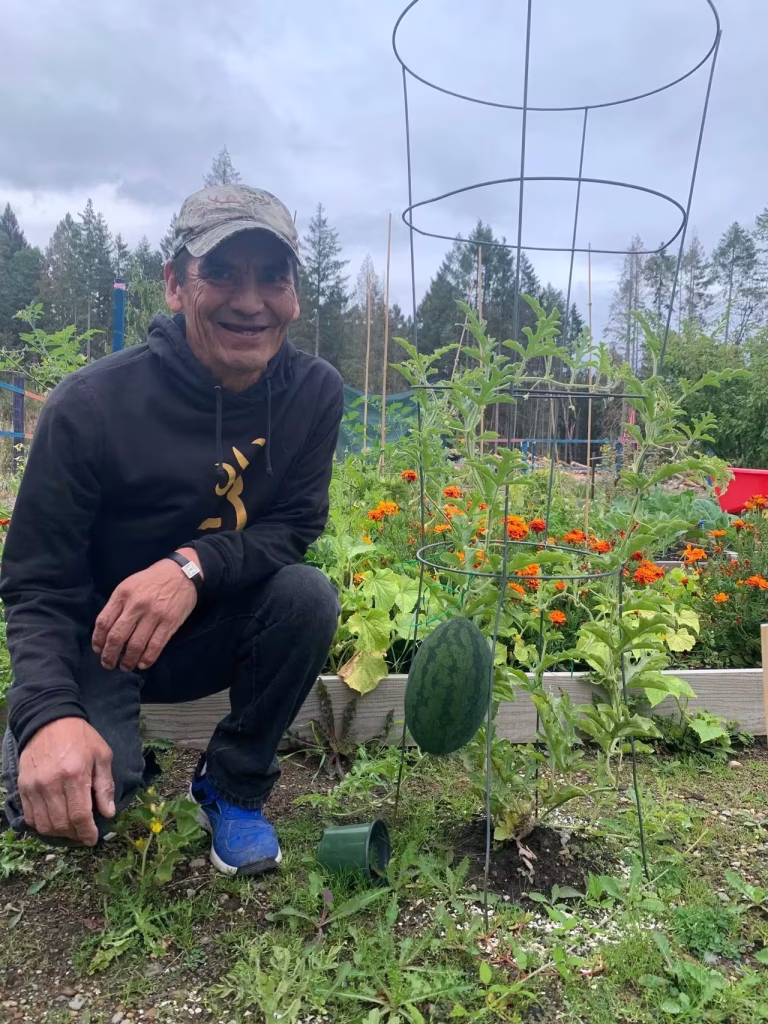 A smiling man in a black hoodie and camouflage hat kneels in a garden next to a small watermelon growing on a vine supported by a wire trellis