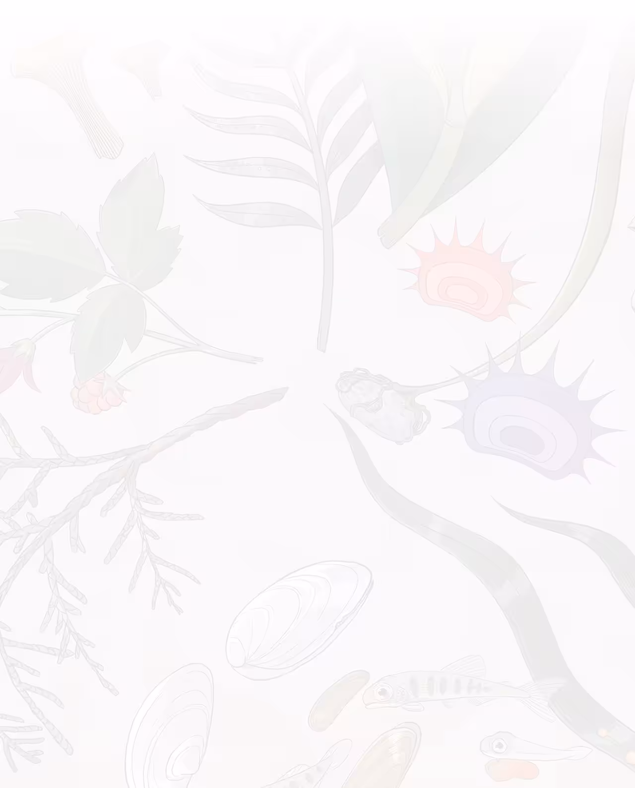 A collage of coastal food resources