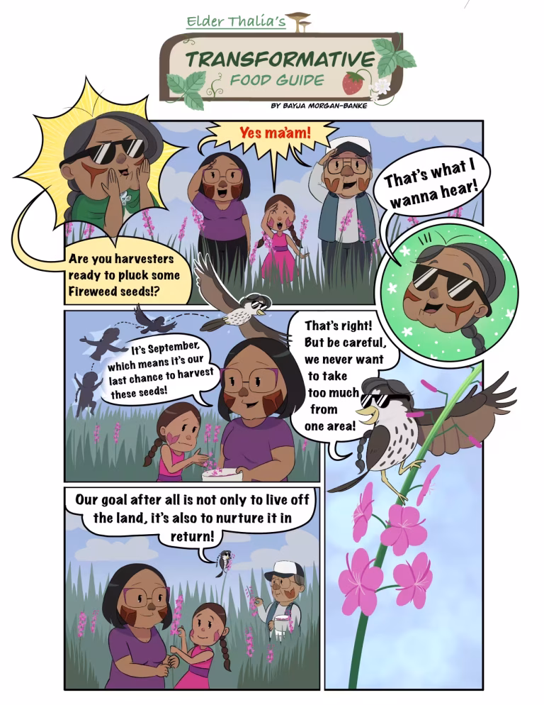 Comic strip about harvesting fireweed seeds, featuring Elder Thalia and others.