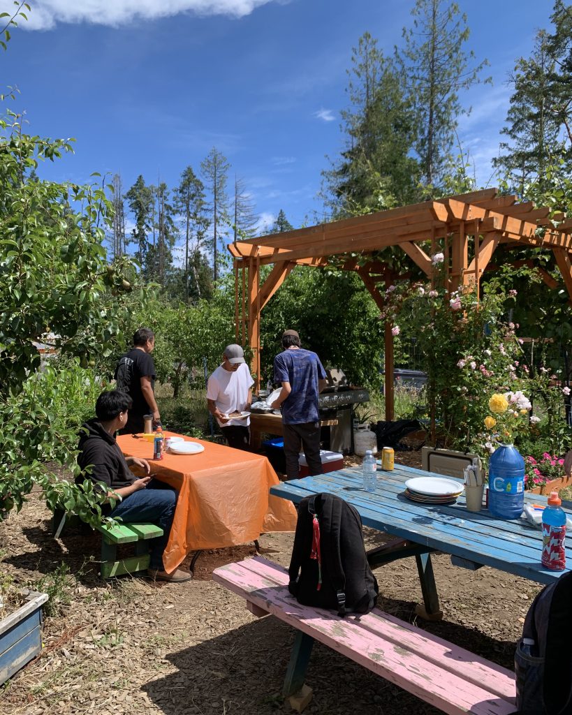 A group of people are having a barbecue in a garden with a pergola and fruit trees.